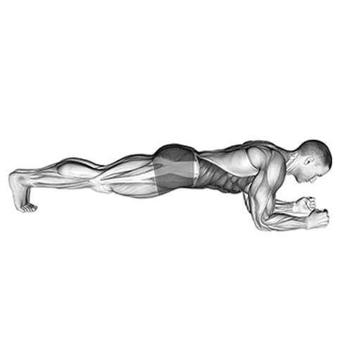 پلانک ثابت (Plank)