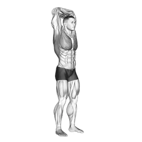 کشش عضلات ذوزنقه‌ای (Trapezius Stretch)