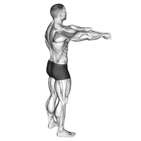 رتراکشن کتف با کش (Scapular Retraction with Band)